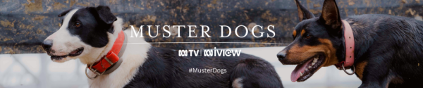 Muster Dogs 2025